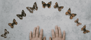 Paganism and the Paranormal with "The Otherworldly Oracle" | The Witch of Lupine Hollow
